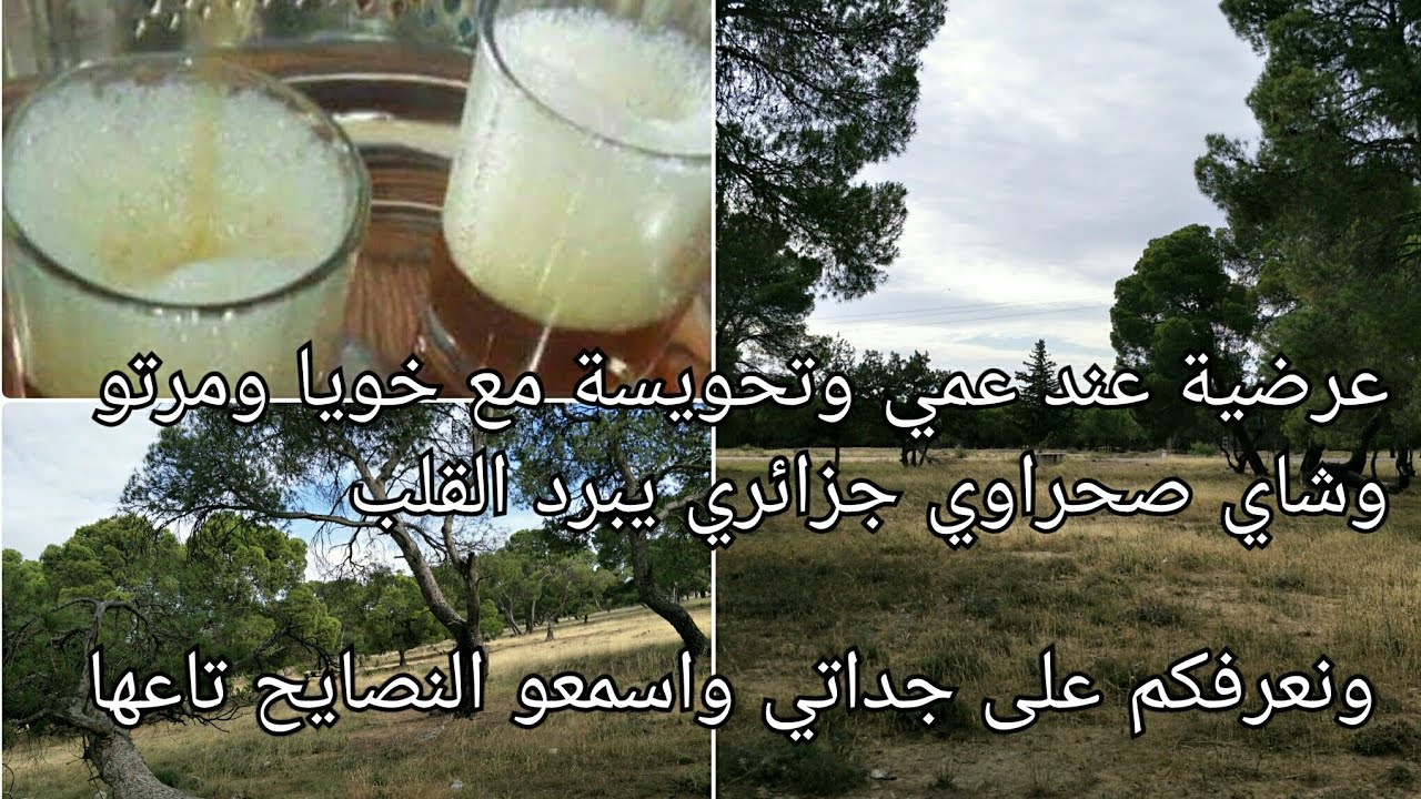 عرضية هاااايلة مع خويا ومرتو وتحويسة وضحك واسهل طريقة لعمل شاي صحراوي من عند عمي ونصائح من عند جداتي