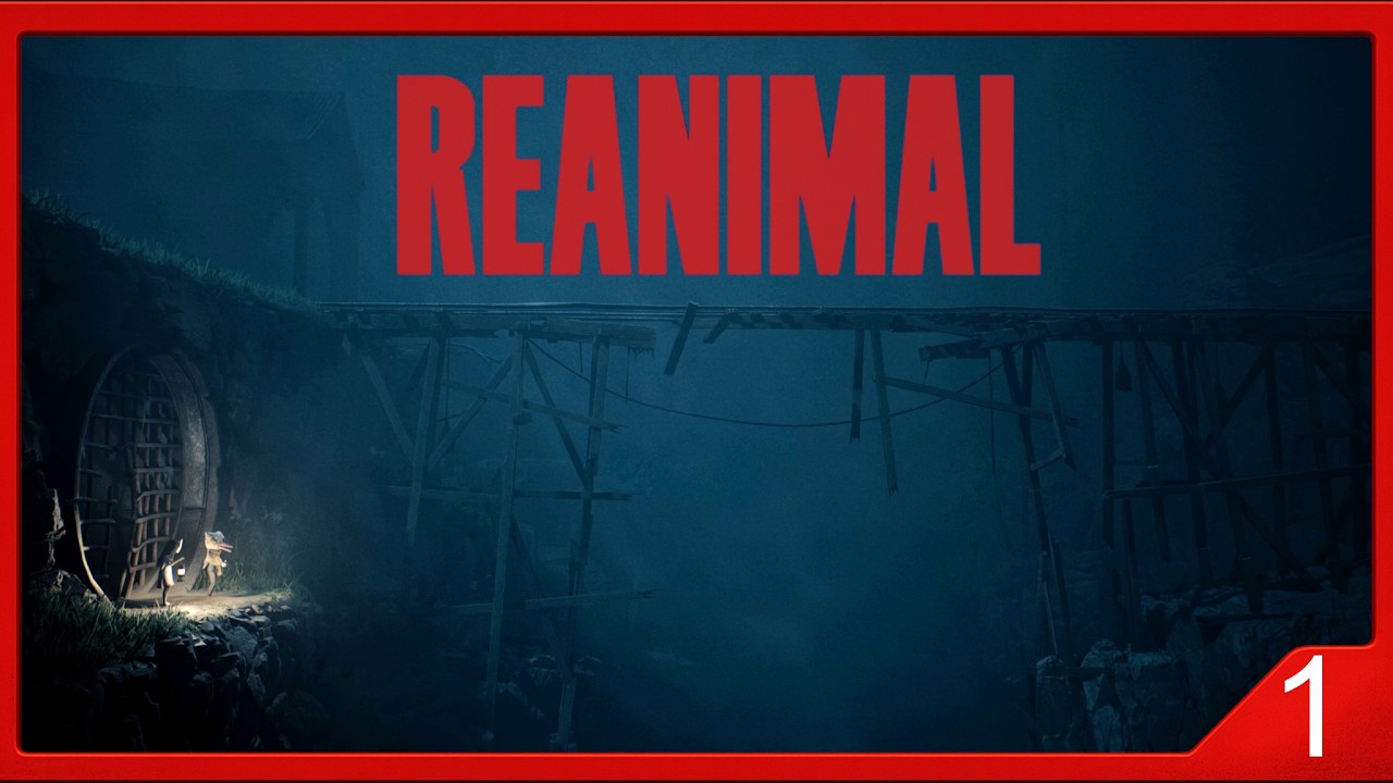PRIMER CONTACTO | REANIMAL | #1