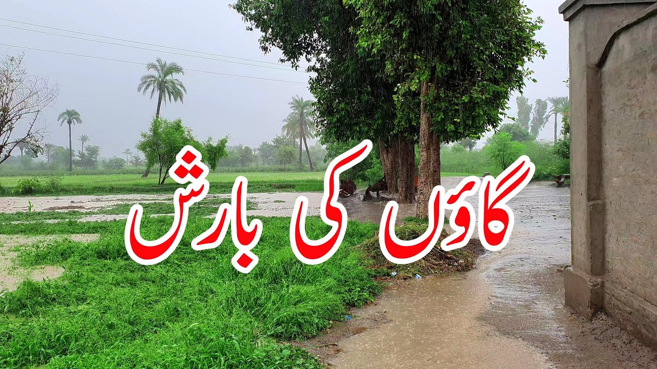 Heavy Rain In Punjab | Pakistan Village BEAUTIFUL Life