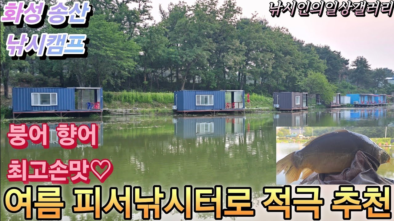 여름 피서낚시터로 적극 추천(송산낚시캠프)