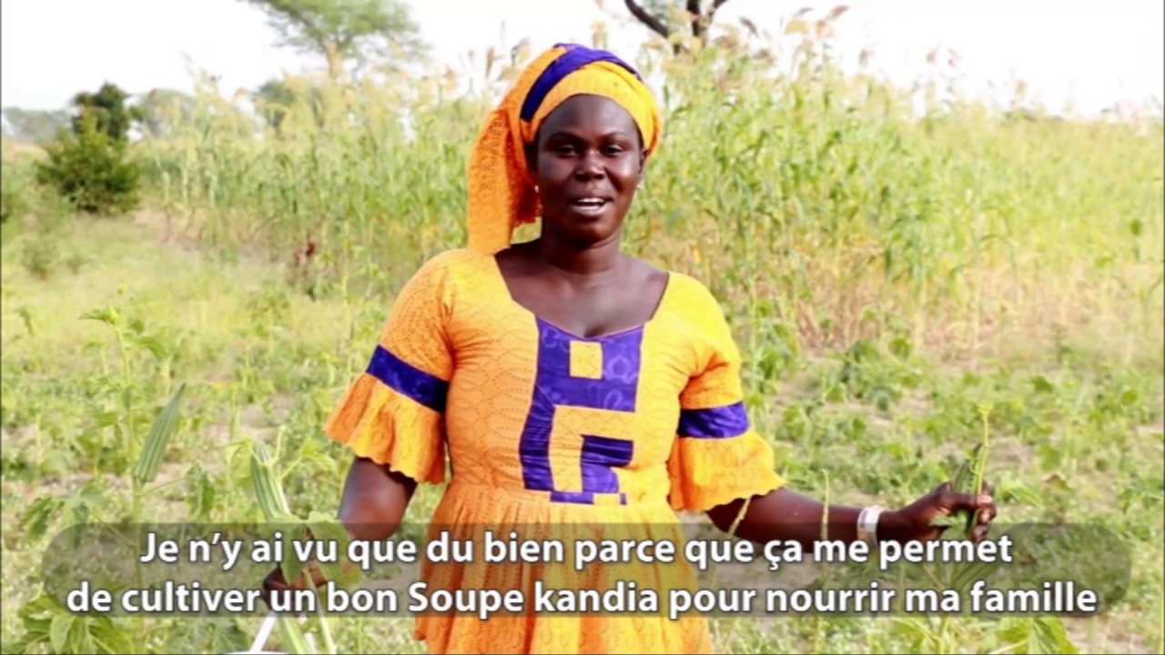 La Culture de Gombo avec Sama Mbéy - Mandingue