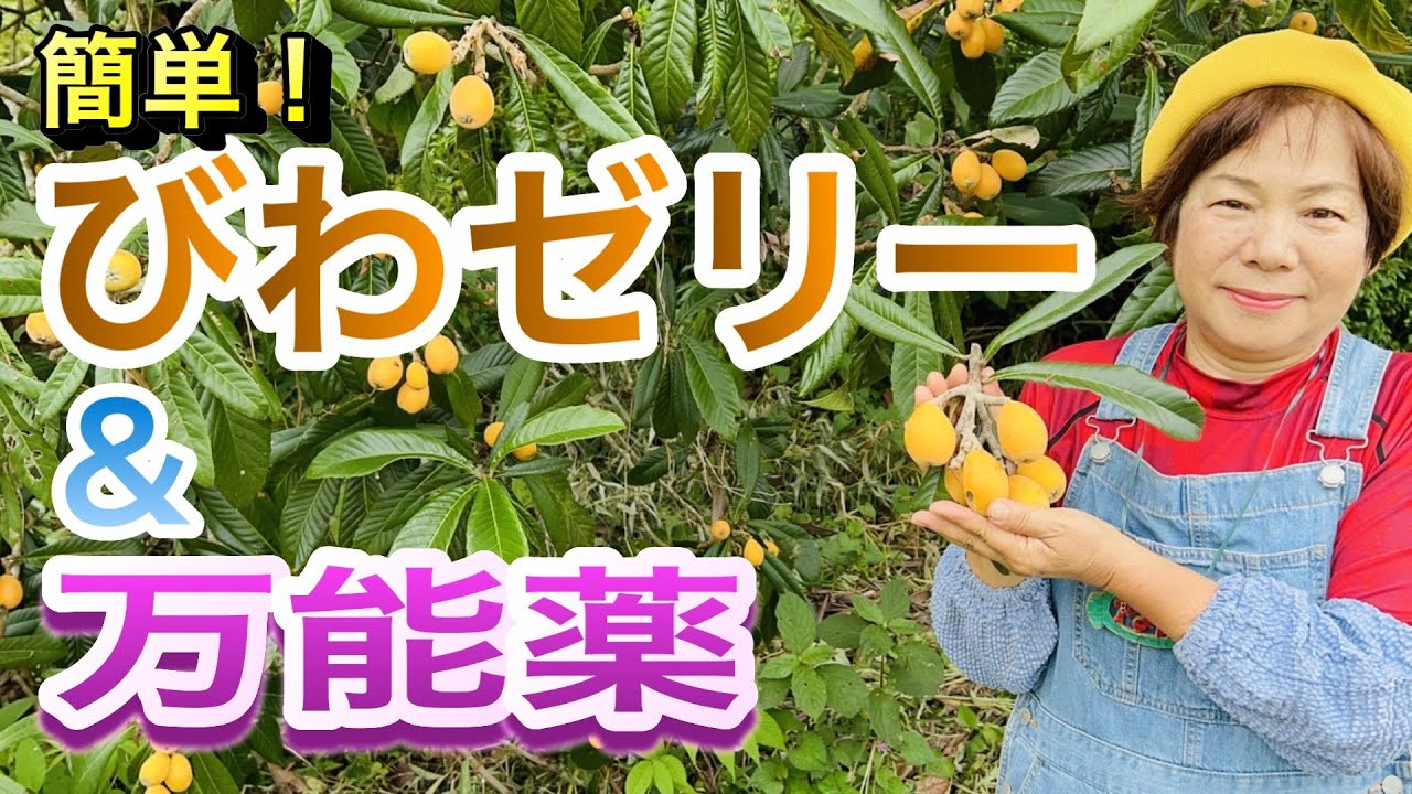びわゼリーを作ります。ポイントはびわをむいた後にレモン汁につけることです。※凝固剤のことを「アーガー」と言っていますが、「アガー」が正確な発音のようです。