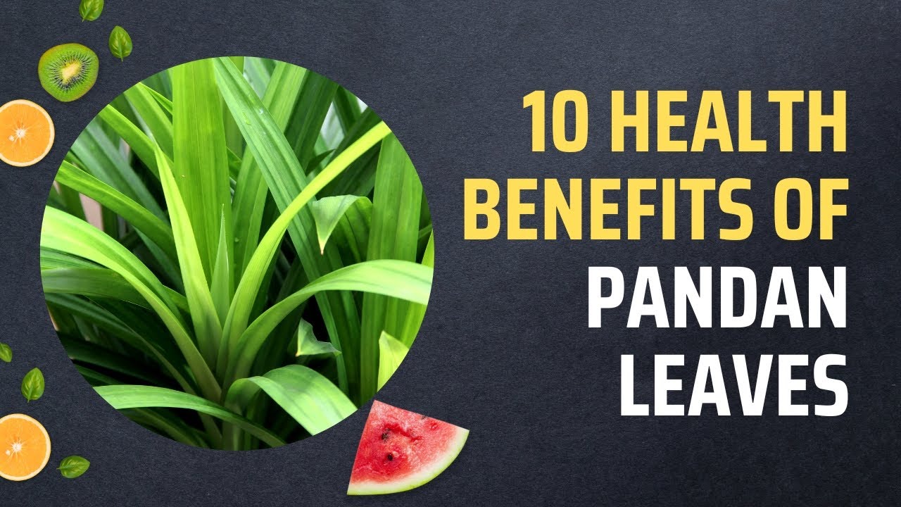 10 Health Benefits Of Pandan Leaves