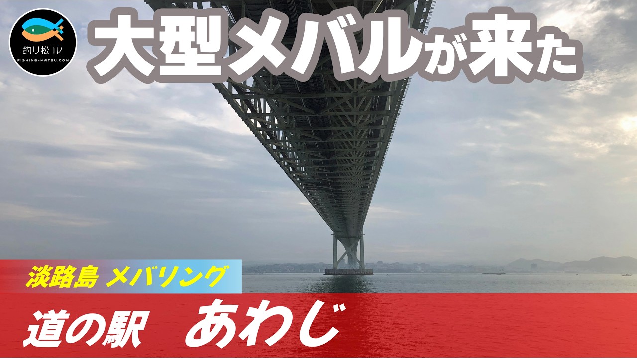 大型メバルが潜む道の駅あわじ 淡路島メバリング
