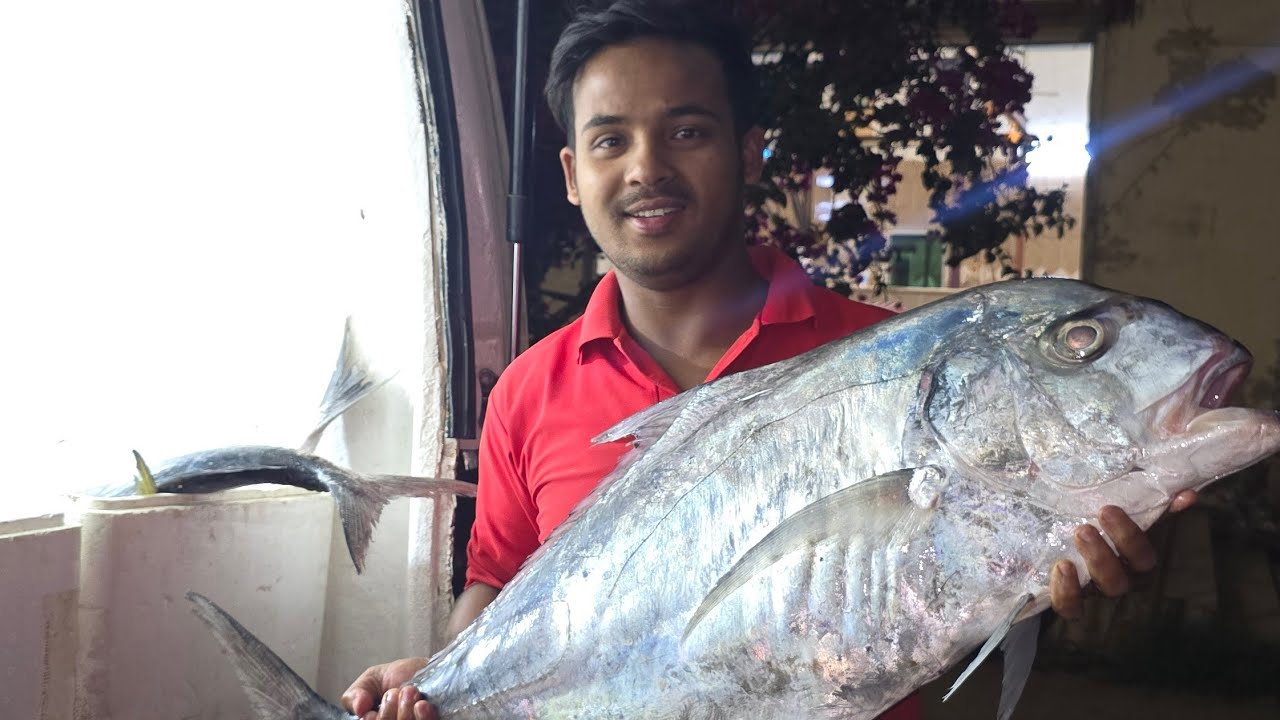 Fish processing live video 🦈🐠🐟