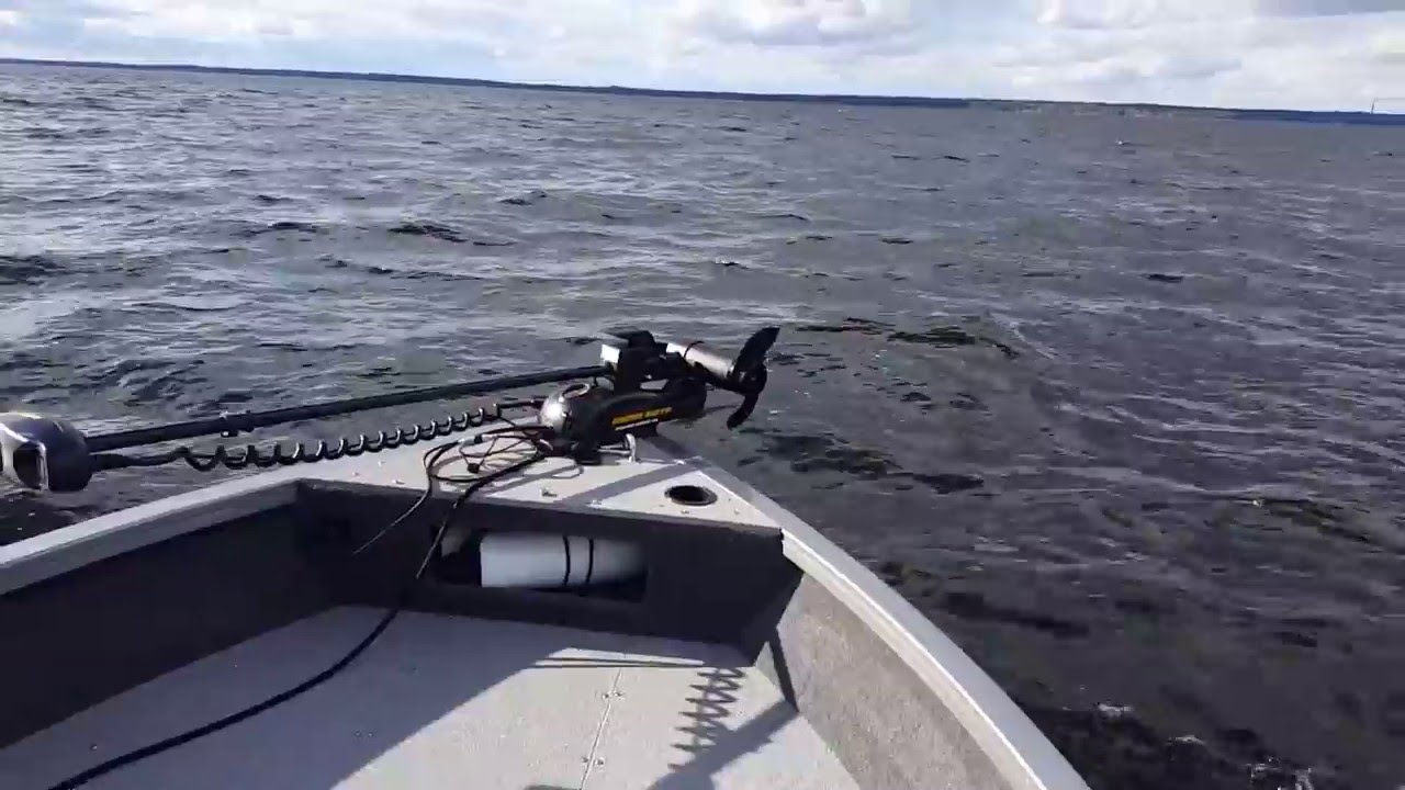 A mix of crestliner 1650 fish hawk video