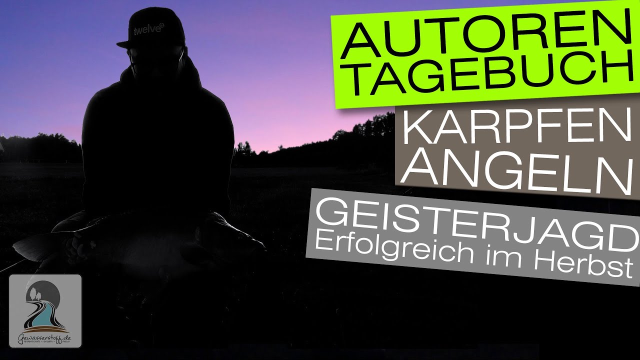 Karpfenangeln - Kurzansitz mit richtiger Taktik zum Erfolg l Autorentagebuch 2019