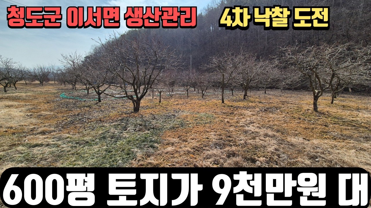 청도 566평 생산관리토지 9천7백만원대로 낙찰받아 농지연금 받자