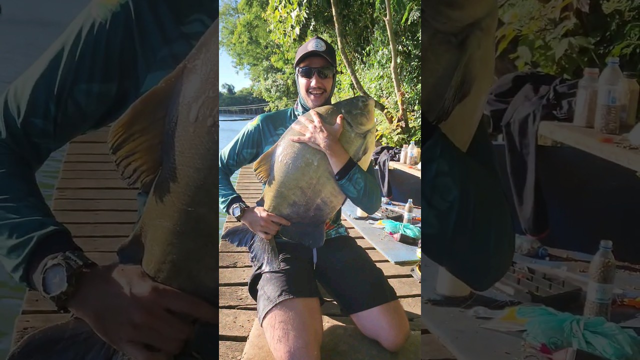 Tamba no Maeda!! #pesca #tamba #maeda #tambacu
