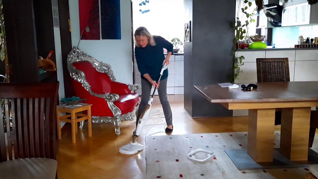 Tester Video Livington Prime Steam Scrubber
