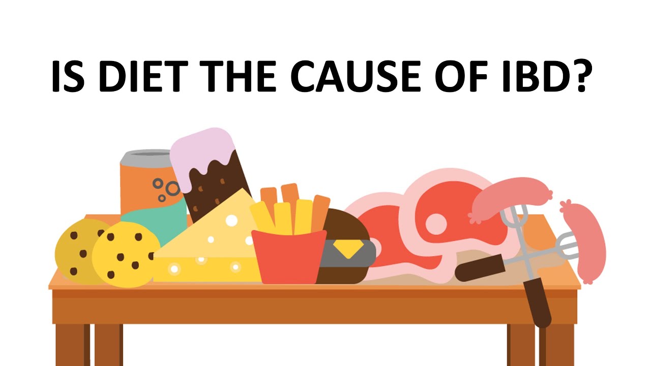 Is diet the cause of IBD and how far away are we from dietary therapy?