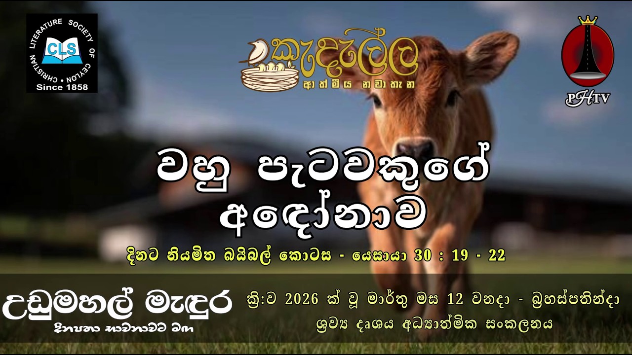වහු පැටවෙකුගේ අඳෝනාව - මාර්තු  03 | Upper Room Sinhala | Daily Devotion