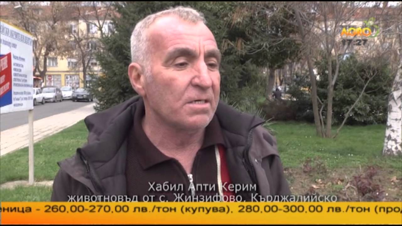 На чаша айрян в Родопите