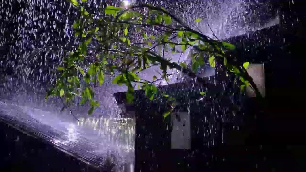 8 Hours Heavy Rain Sounds on Tin Roof for Sleeping