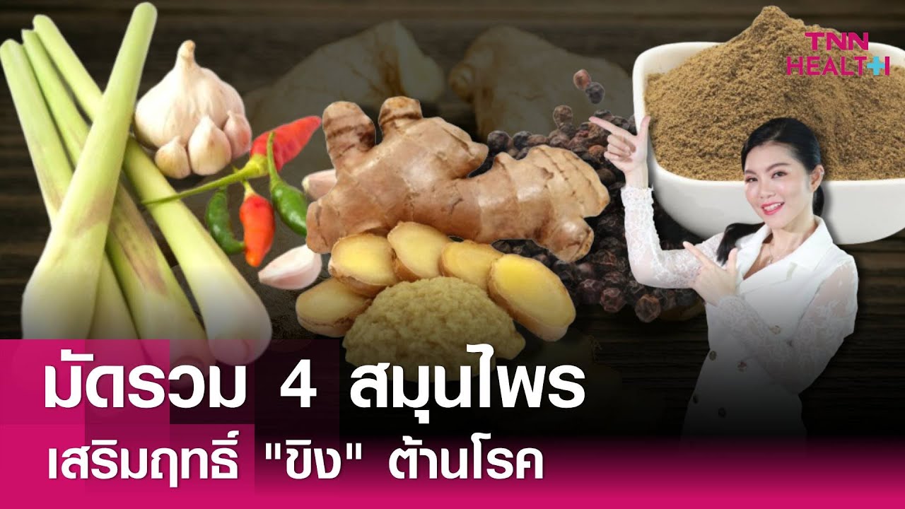 มัดรวม 4 สมุนไพร เสริมฤทธิ์ขิงต้านโรค : TNN Health