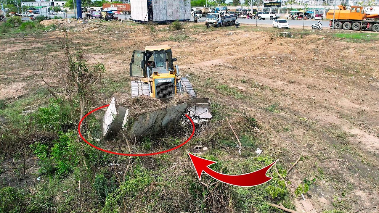 The two Project Clearing Forest By Skill SHANTUI DH17C2&Dozer D31A Bulldozer Pushing Clearing Forest