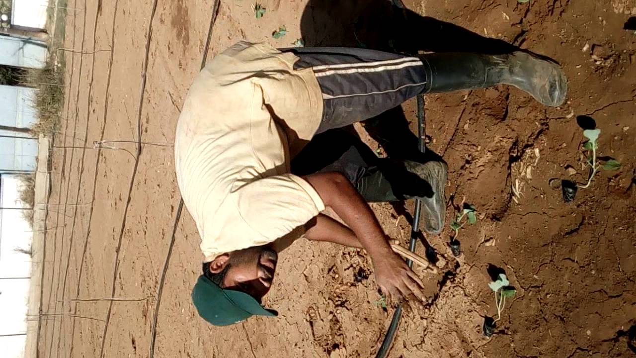 Yunan (Greece)  k Halat sunye rana g sy