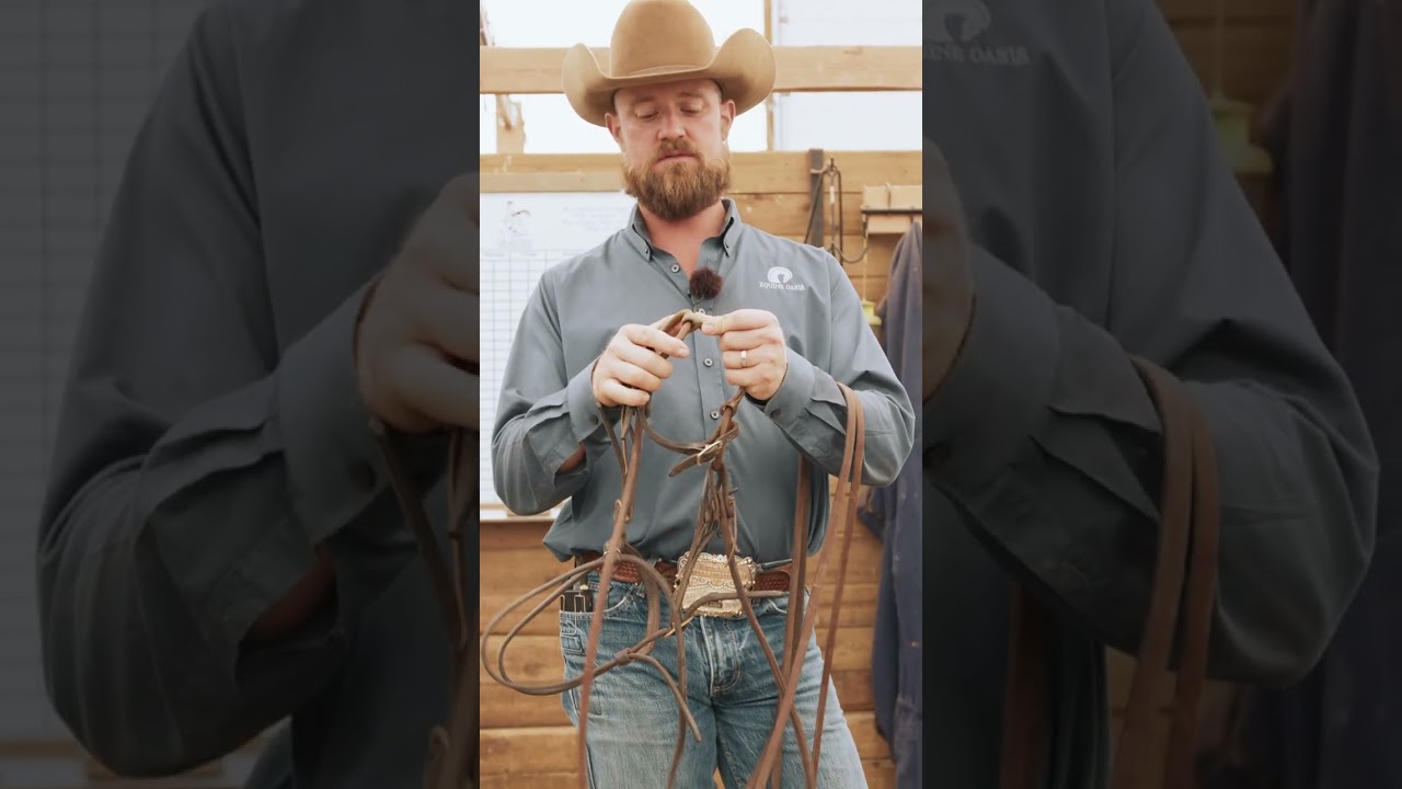 Why snaffle bits can be dangerous (not what you expect)