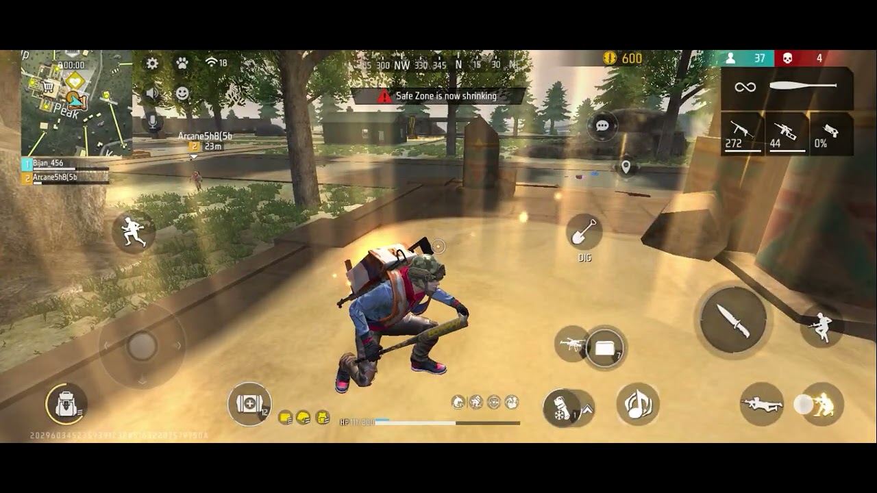 I play free fire with my brother