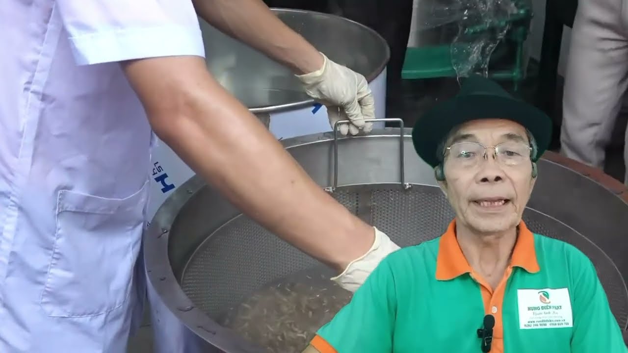 Cách Bảo Quản Sâu Canxi Đúng Cách  | Ruồi Lính Đen