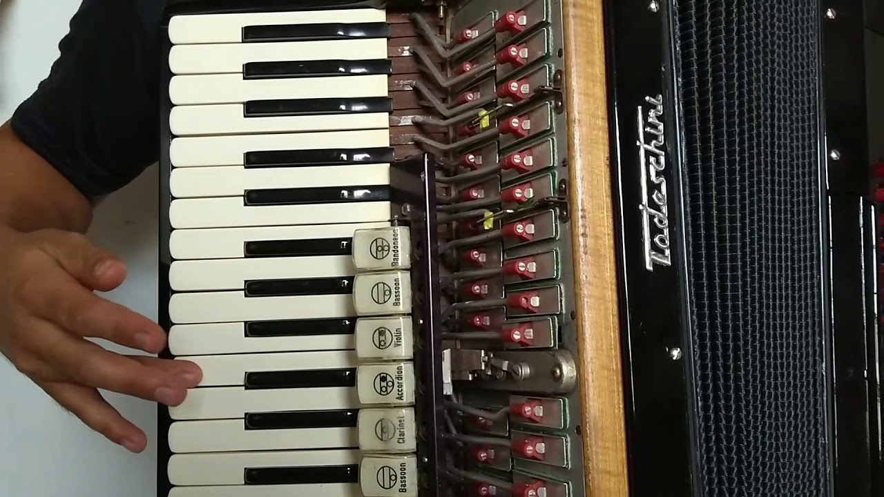 Vídeo aula acordeon É disso que o velho gosta