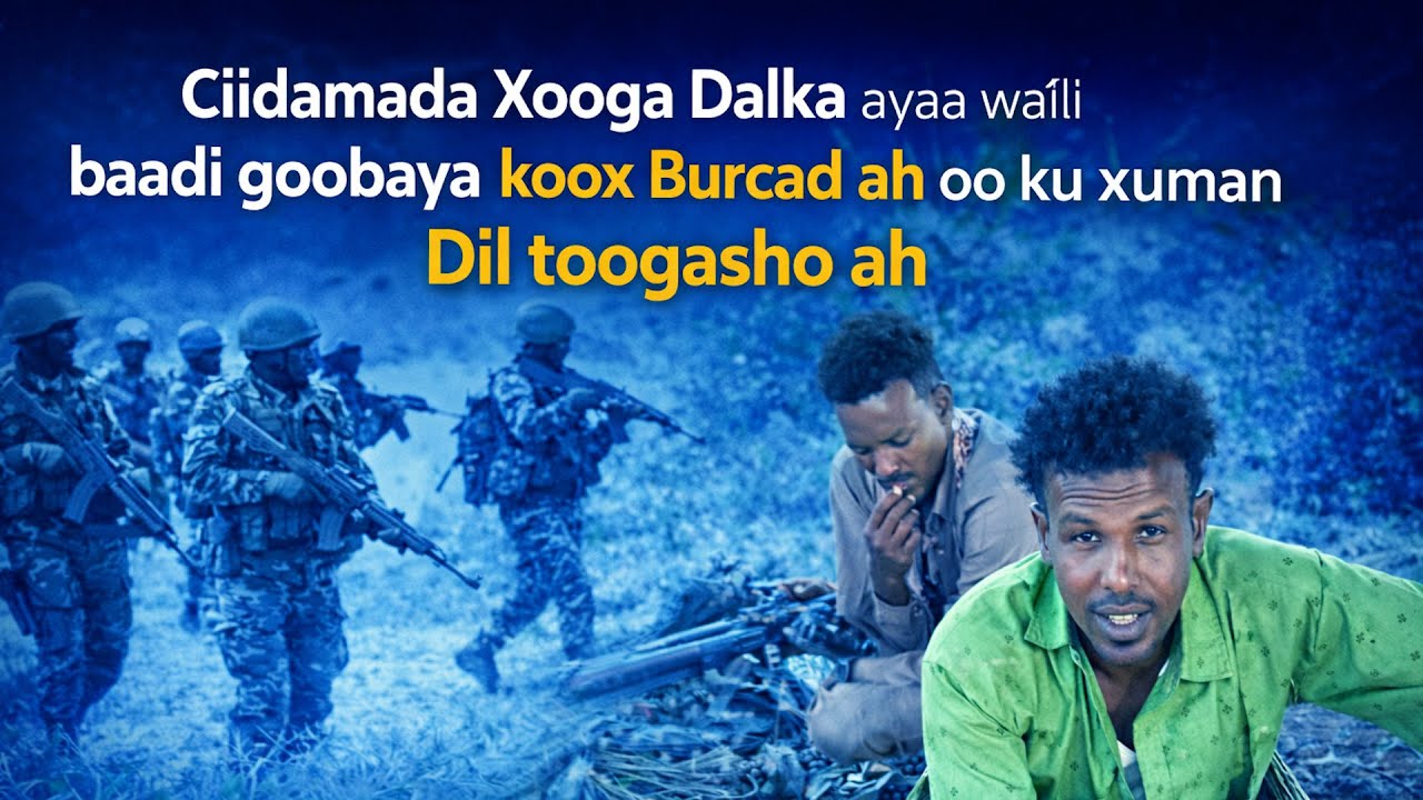 Faah faahin Ciidamada Xoogga Dalka oo Gacanta ku Dhigay Koox Dilal Geystay – Howlgal Culus!