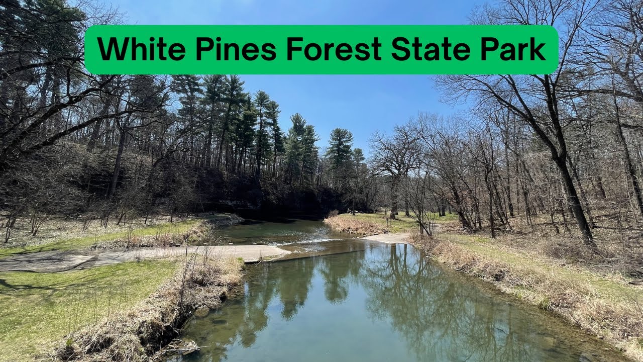 Государственный парк «Лес Белых сосен»