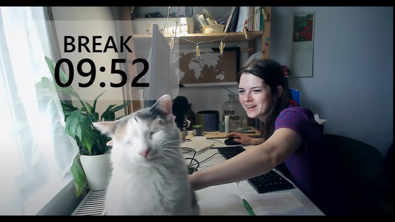 Wake up! 50min Study with me || live pomodoros 50/10 || morning productivity | birds chirping