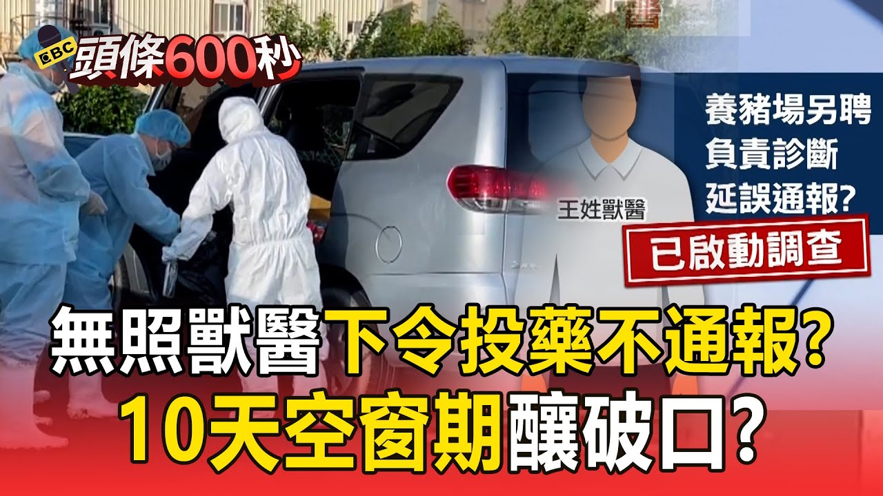 非洲豬瘟10天空窗期「誰延誤通報」？ 無照獸醫疑「違法診斷」導致豬隻集體暴斃死亡【頭條600秒】