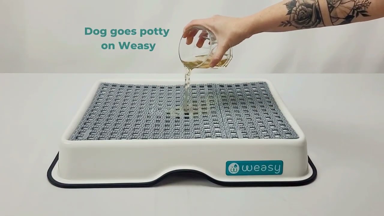 Weasy - Smart Toilet for Dogs