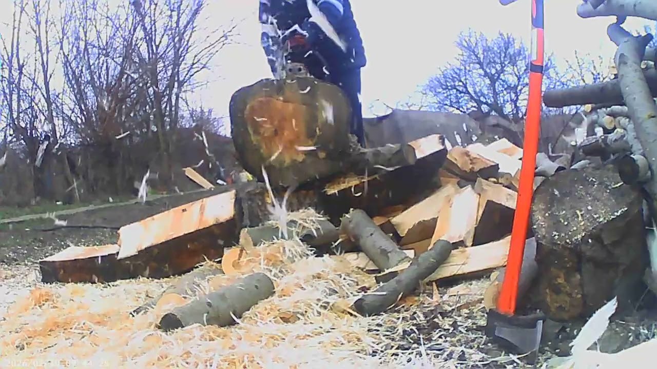 10 februarie 2026