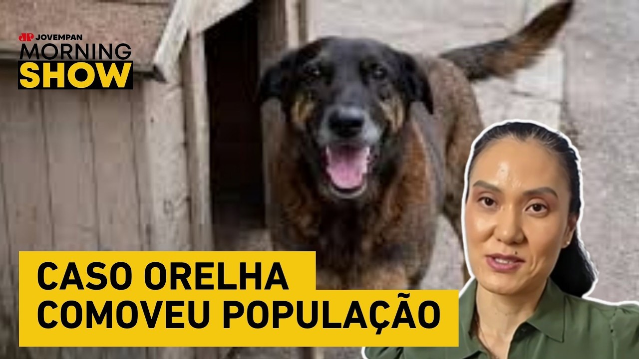 Como lidar com o LUTO de perder um PET? Psicóloga explica