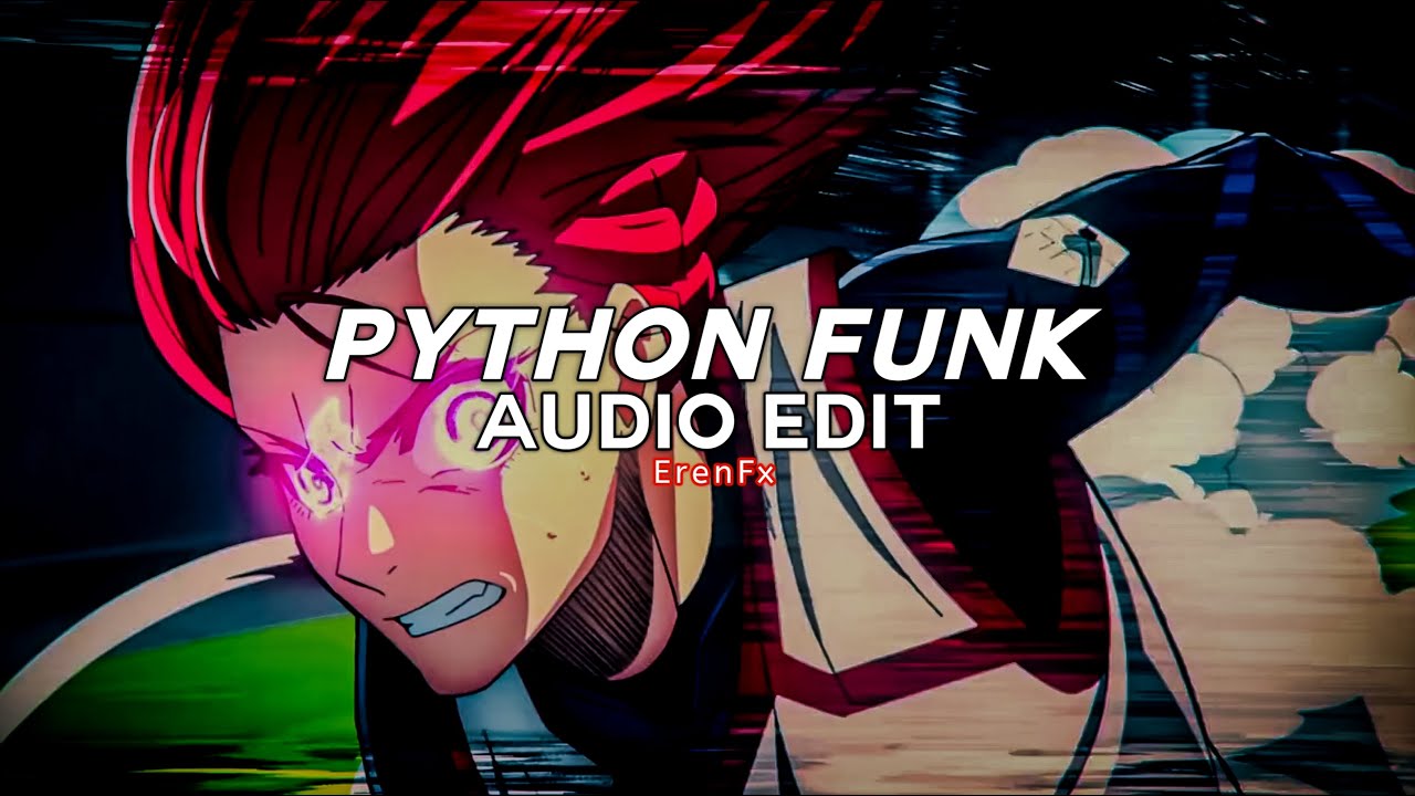 python funk (tiktok remix) - rd12 [edit audio]