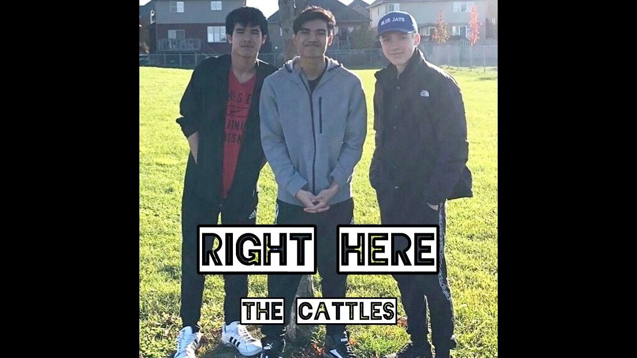 The Cattles - Right Here (Audio)