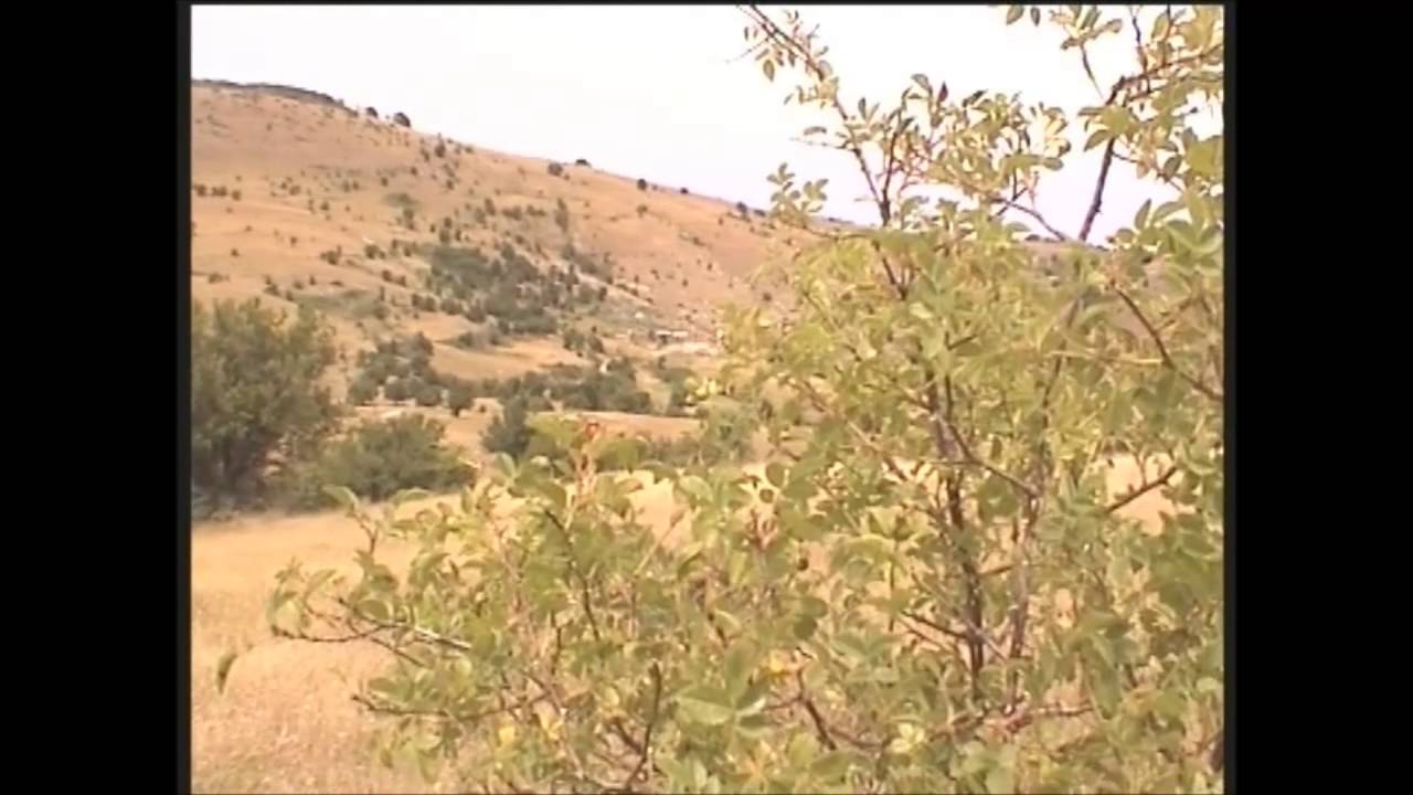 Drevenik Derinyol Macedonia