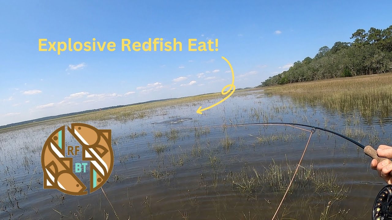 September Sessions -- Redfish -- Flood Tide Fishing -- Charleston SC