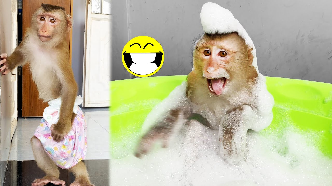 It's so hot! Monkey Lyly bathes herself with soap