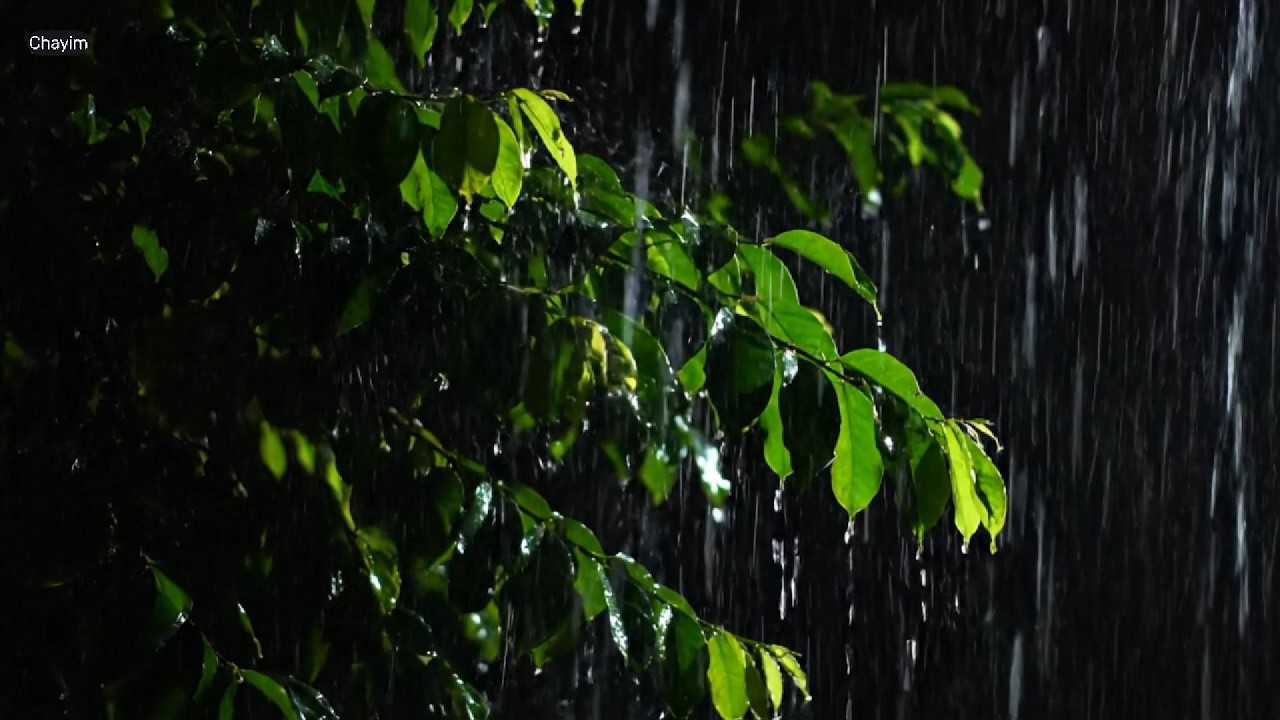 Heavy Rain Sounds for Deep Sleep | Calm Your Mind & Sleep Instantly