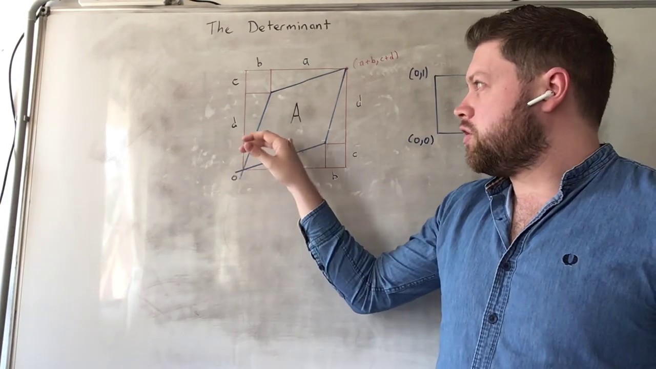 24. An intuitive understanding of the Determinant