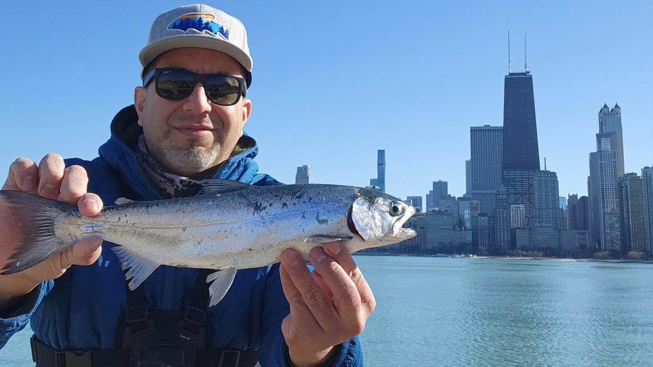 Chicago Fishing Coho Salmon