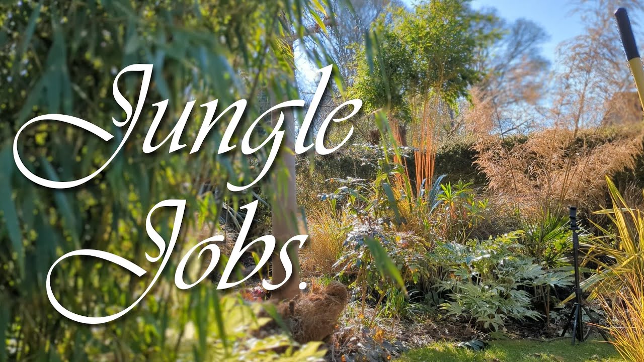 Spring Jungle Jobs