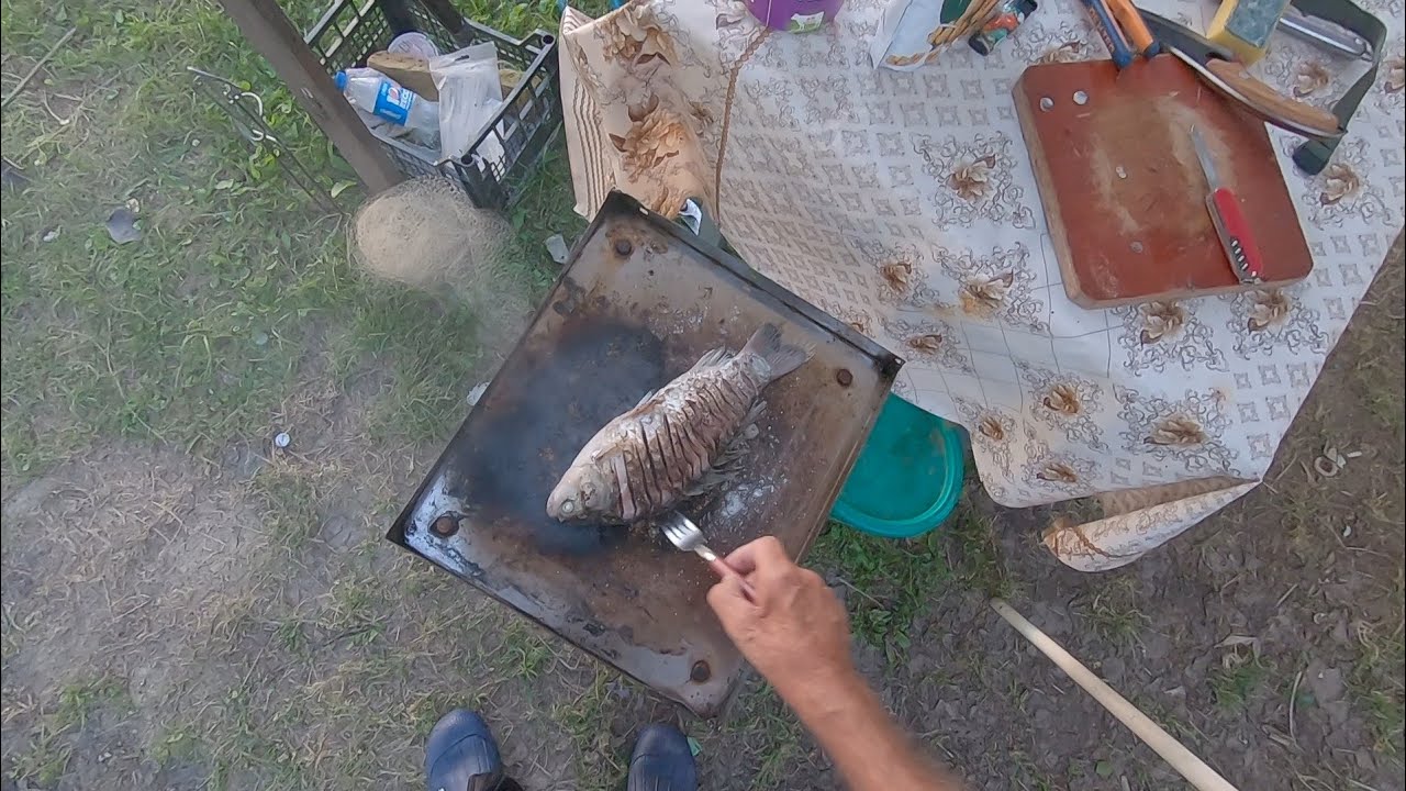 Pescuit cu uica Gore. În Poiana lu'uica Gore. mixaj cu de toate. Un caras copt la tavă cu sare.