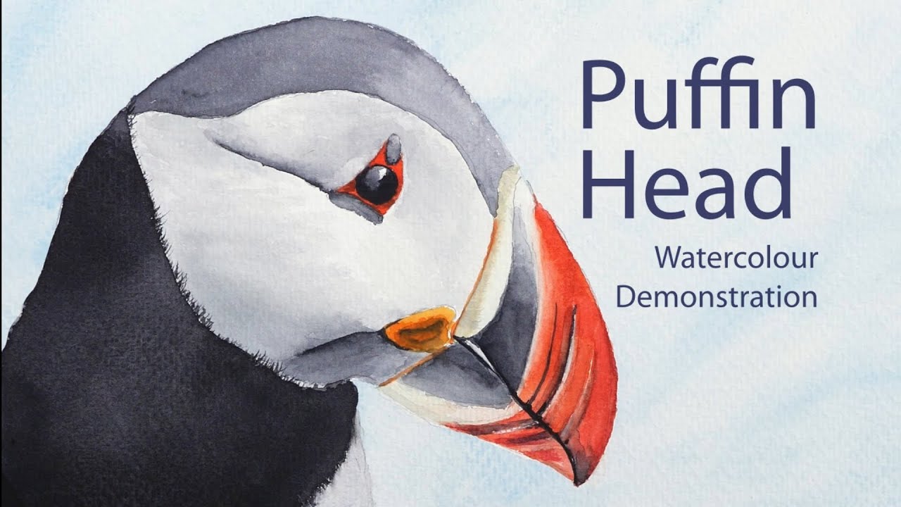 How to paint a Puffin Head - Watercolour painting demonstration