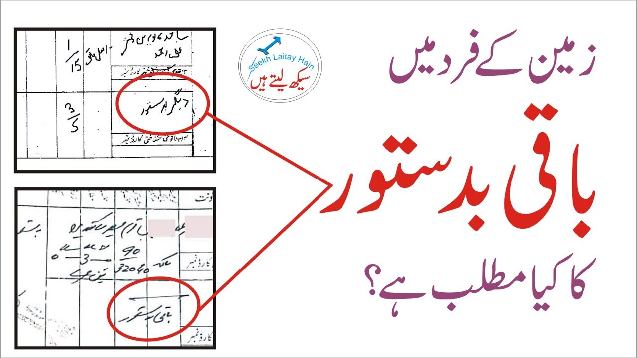Baqi Badastoor meaning in FARD of land - Register Haqdaran Zameen