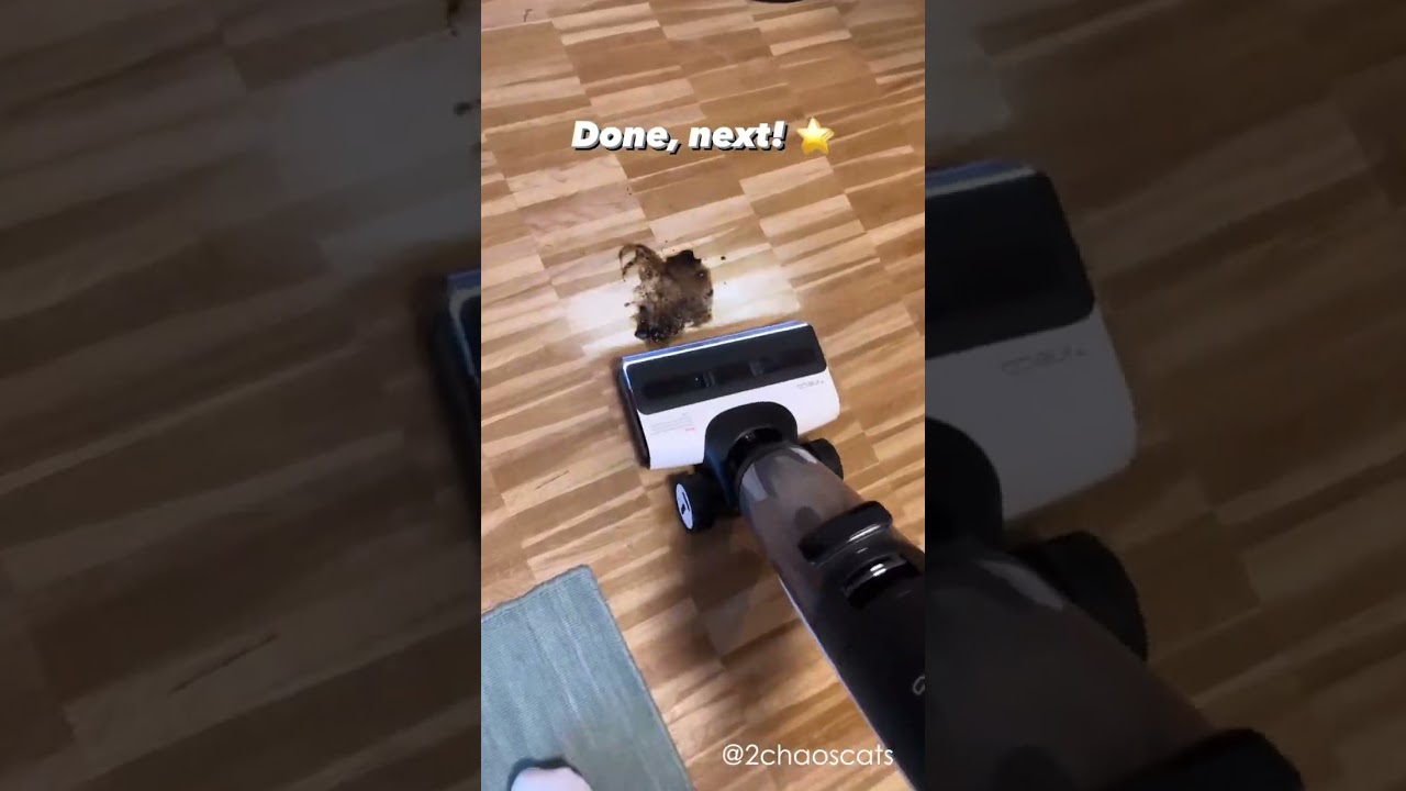 @2chaoscats gives us a glimpse into what messes pet owners face!