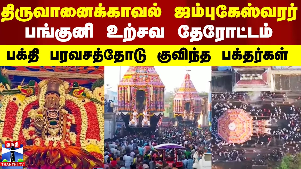 Thiruvanaikaval Jambukeswarar Temple | திருவானைக்காவல் ஜம்புகேஸ்வரர் பங்குனி உற்சவ தேரோட்டம்