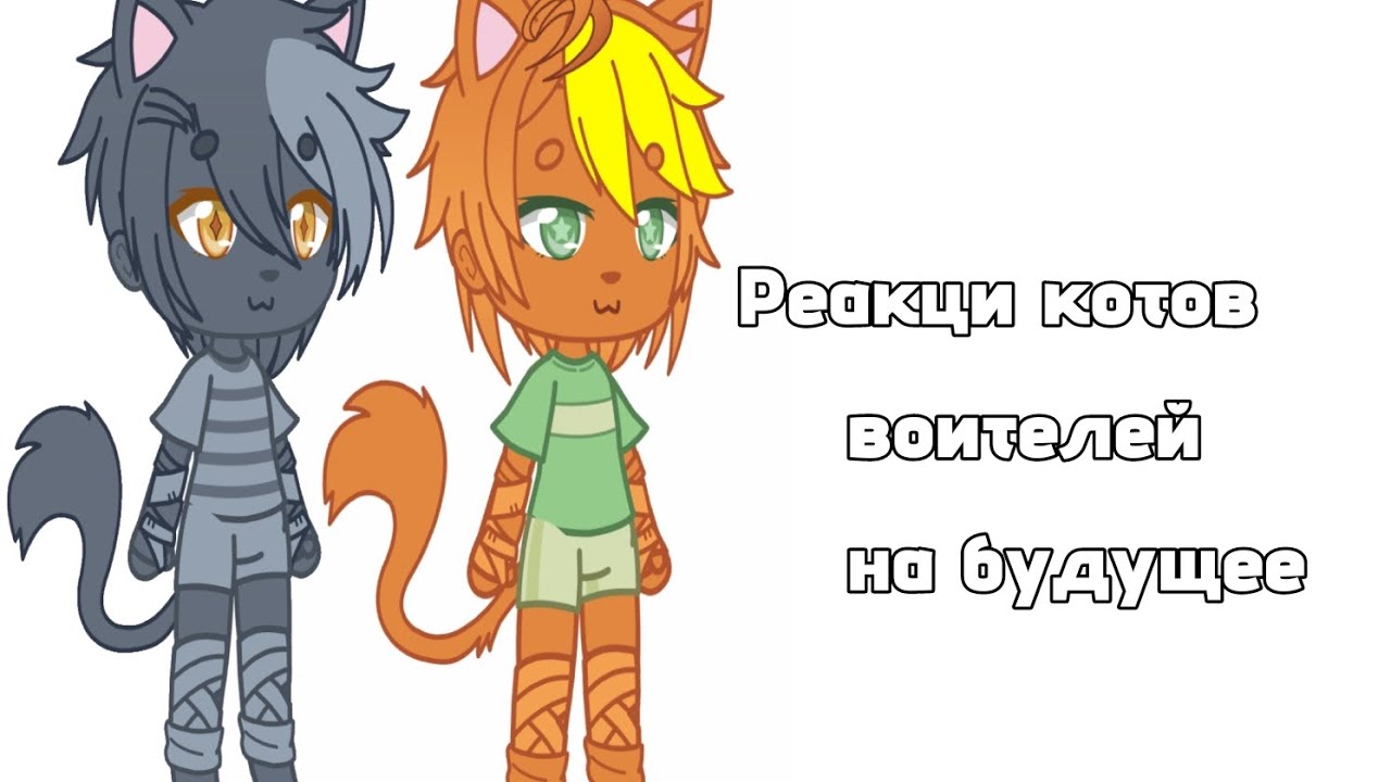 Реакция котов воителей на будущее!!