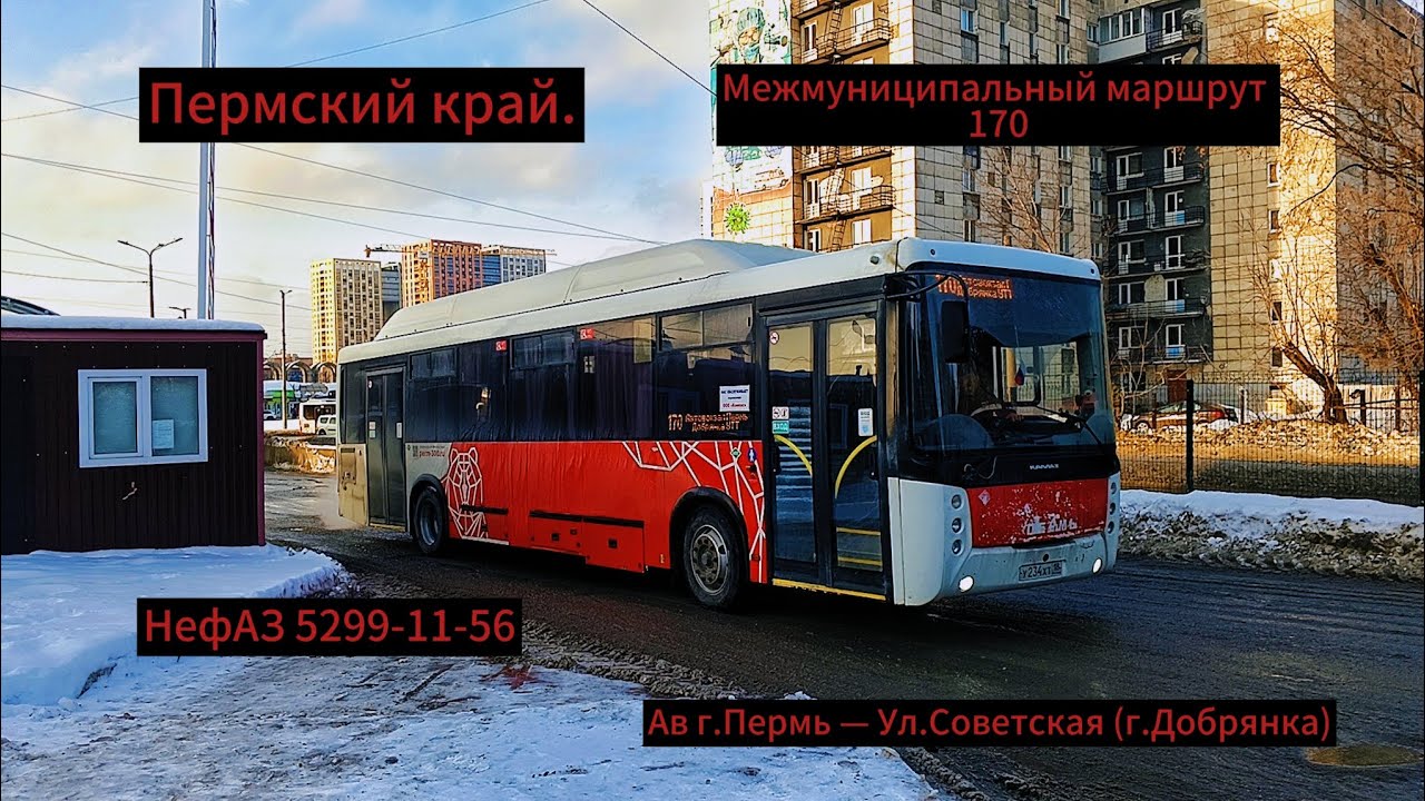 Пермский край | Автобусный маршрут 170 | Ав г.Пермь - Ул.Советская (г.Добрянка) | Снято 12.01.25