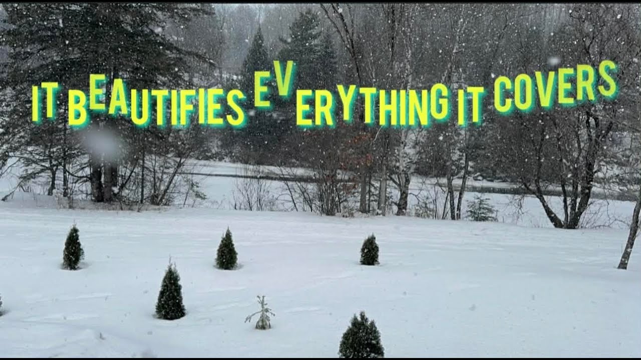 IT BEAUTIFIES EVERYTHING IT COVERS -SNOW SEASON