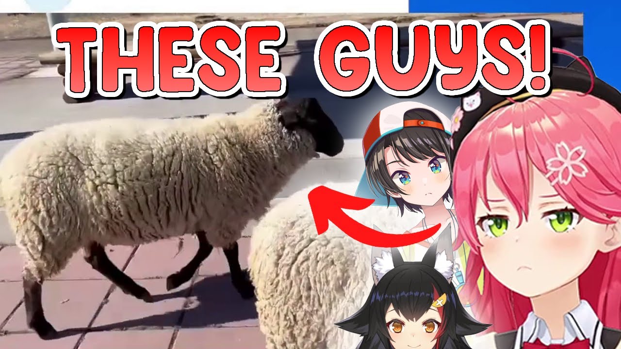 Miko Mio Shuba funny moment when they went on a trip to the ranch and fed the sheep there